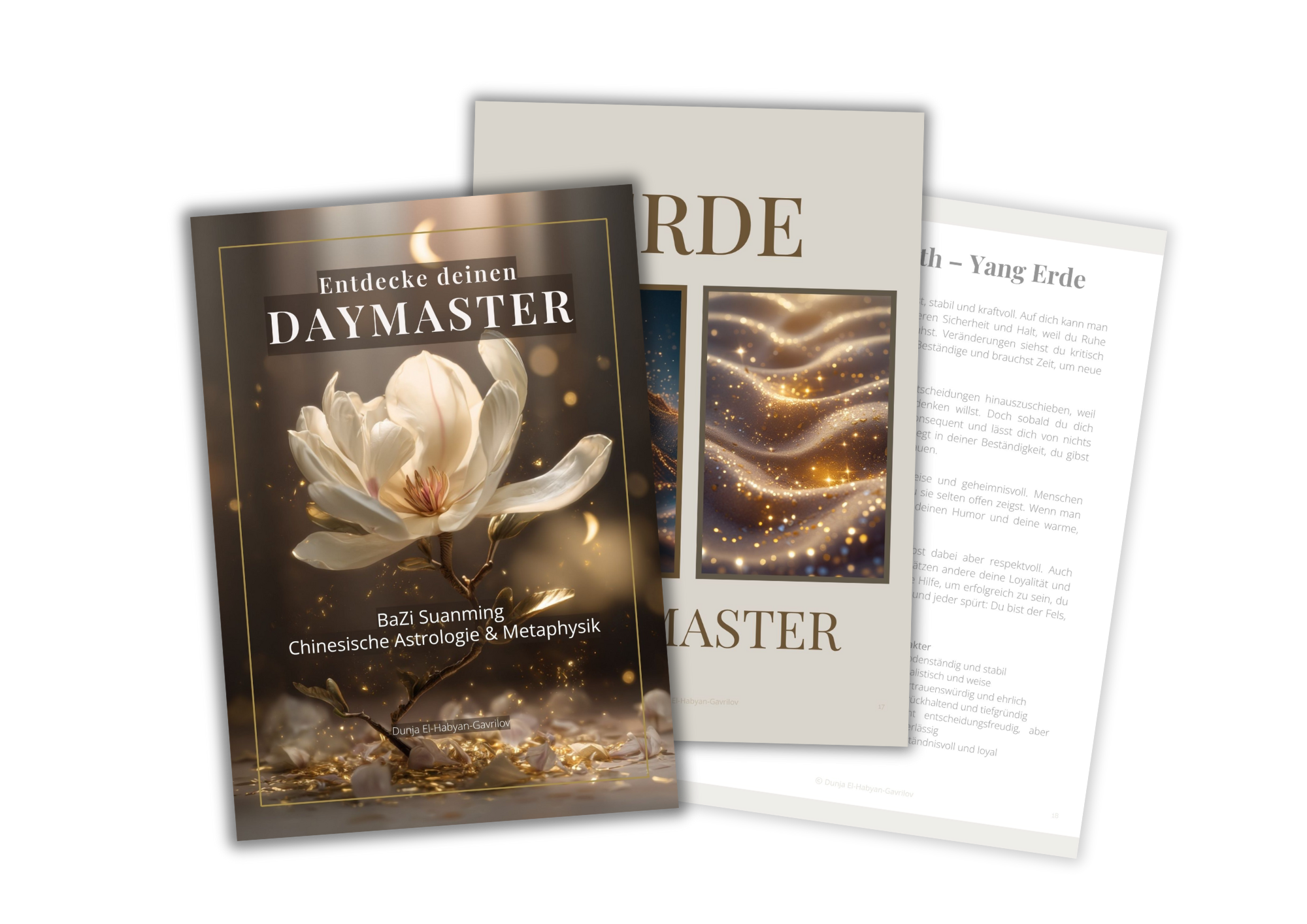 Daymaster Guide BaZi